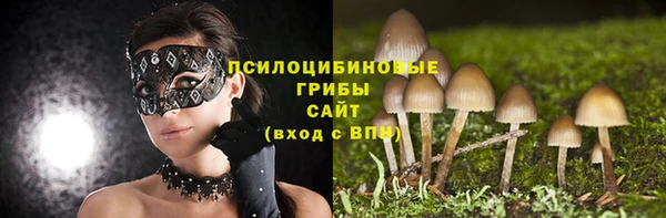 Альфа ПВП Михайловск