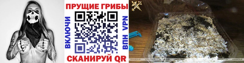 Псилоцибиновые грибы мухоморы  Новодвинск 