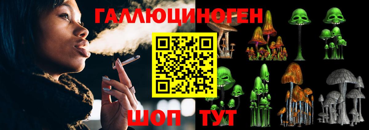 Псилоцибиновые грибы GOLDEN TEACHER Новодвинск