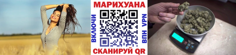 дарнет шоп Новодвинск Каннабис Amnesia